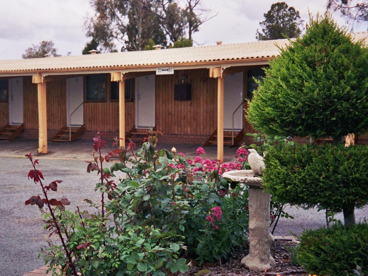 Cooma High Country Motel Экстерьер фото